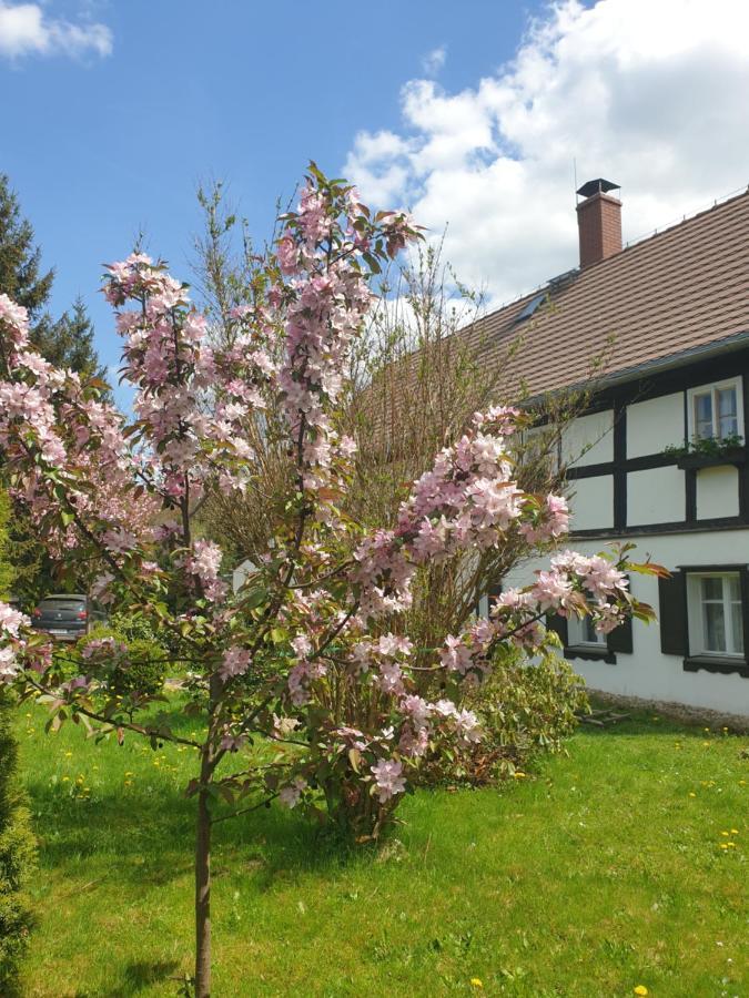 Lusatia Farm Leśna Esterno foto
