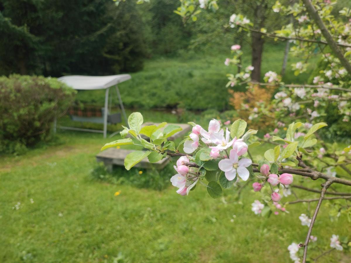 Lusatia Farm Leśna Esterno foto