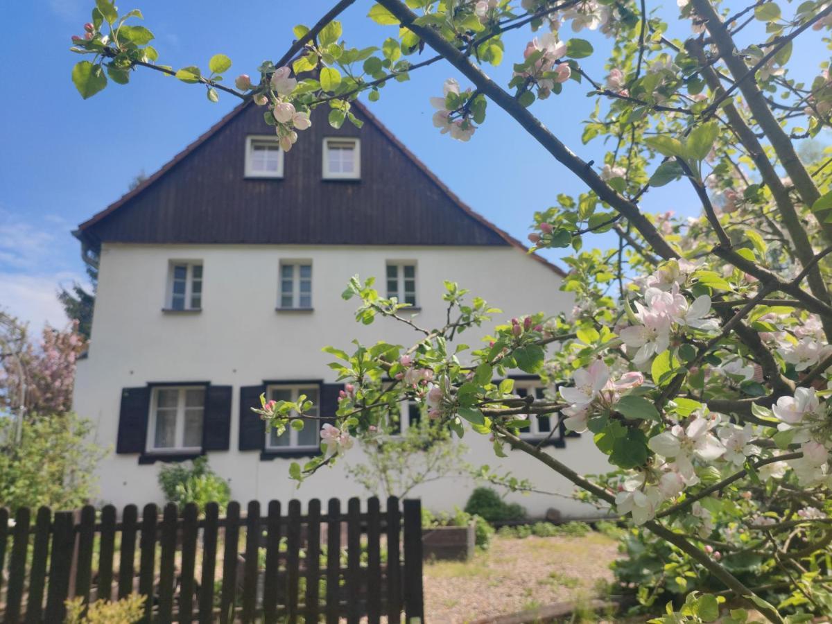 Lusatia Farm Leśna Esterno foto