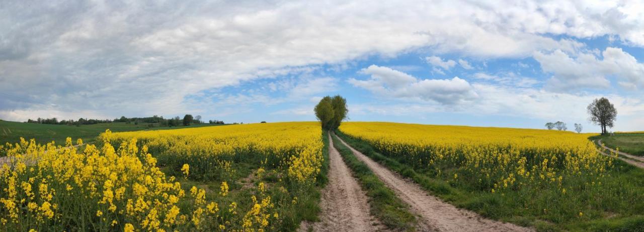 Lusatia Farm Leśna Esterno foto