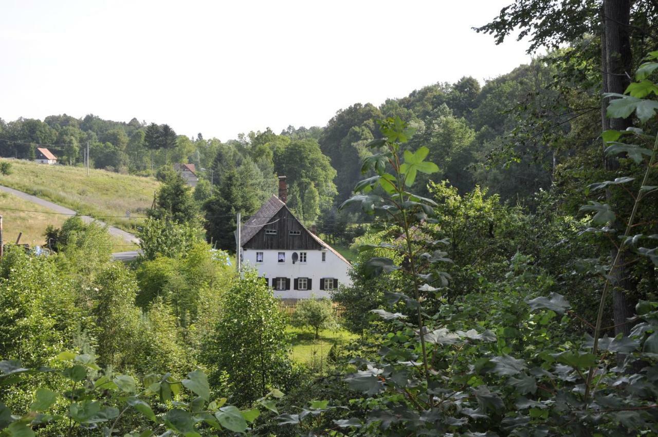 Lusatia Farm Leśna Esterno foto